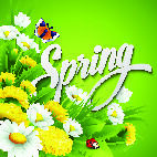 欢迎春天到花开风景