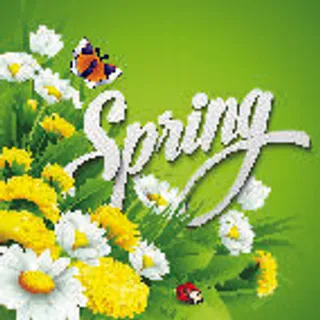 欢迎春天到花开风景