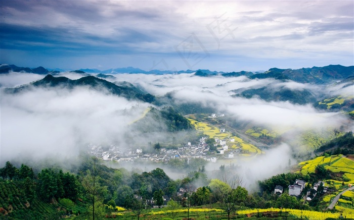 蓝天白云下的油菜花海风景图片