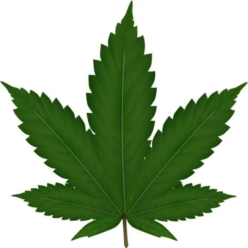 大麻PNG免抠(719x720)