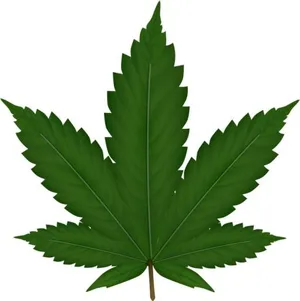 大麻PNG免抠