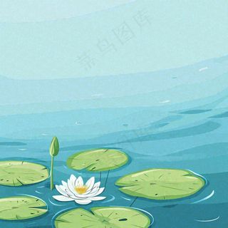 中国风夏日荷塘池白色荷花盛开手绘插画，立夏夏至大暑小暑