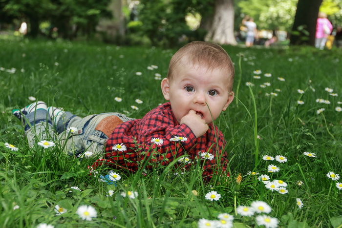 国外呆萌小男孩图片