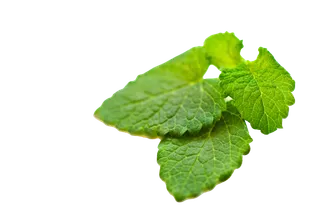 薄荷超市商品白底图免抠实物摄影png格式图片透明底