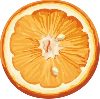 109_orange_PNG747