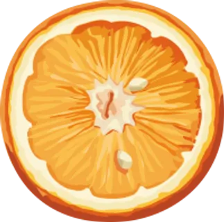 109_orange_PNG747