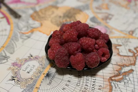 覆盆子莓果图片 覆盆子莓果图片