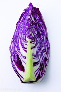 食物素食甘蓝