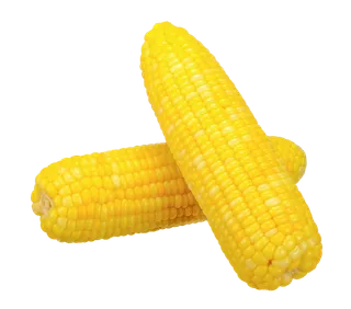 玉米 (24)超市商品白底图免抠实物摄影png格式图片透明底