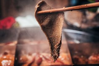 火锅菜品配菜毛肚牛肉牛百叶牛内脏