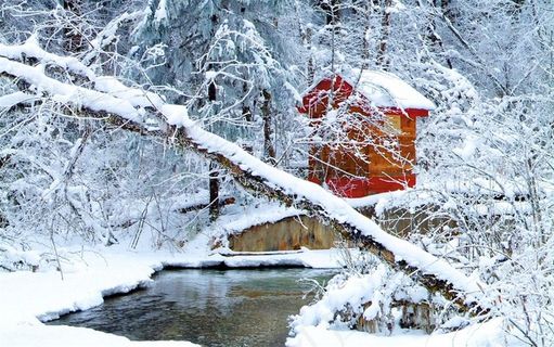 冬日冰封的河道图