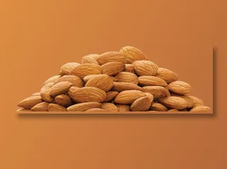 扁口核桃免抠图片