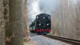 户外蒸汽火车图片