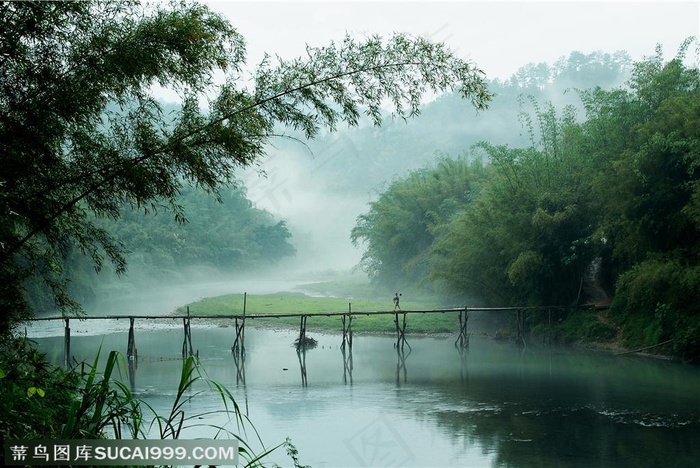 竹林风景- 河流两旁的竹林和中间的小桥