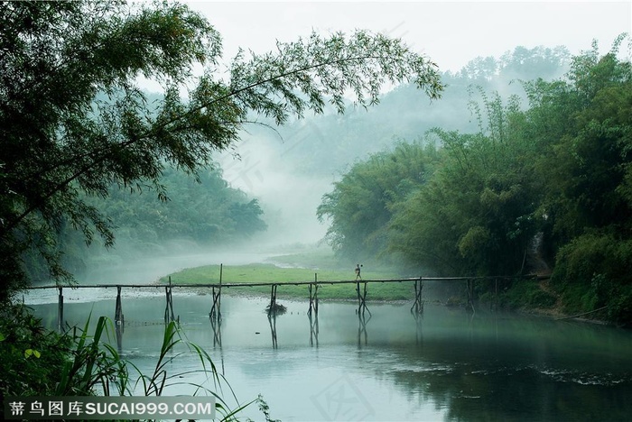 竹林风景- 河流两旁的竹林和中间的小桥