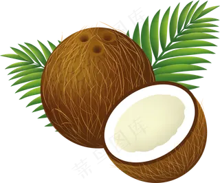 椰子免抠素材 (20)