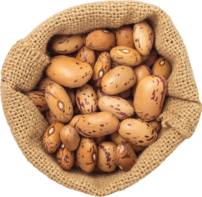 16_Beans Bag