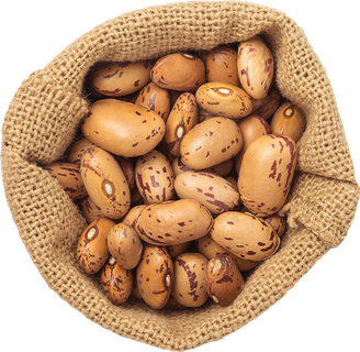 16_Beans Bag