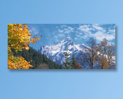 蓝天白云下雪山前的树梢