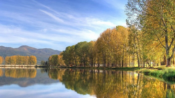 图片设计素材背景炫光背景