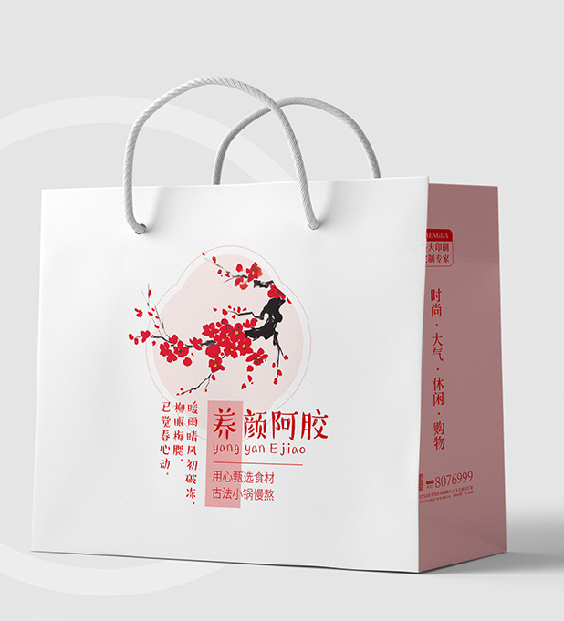礼品包装手提袋11cdr矢量模版下载