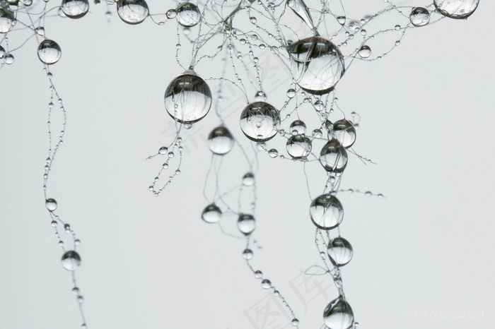 挂在丝线上的晶莹水珠