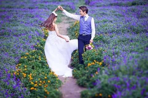 幸福恋人紫色薰衣草婚纱外拍精美特写 幸福恋人紫色薰衣草婚纱外拍精美特写