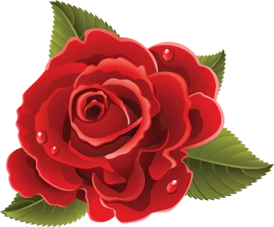 鲜花玫瑰免扣素材