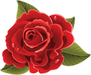 鲜花玫瑰免扣素材