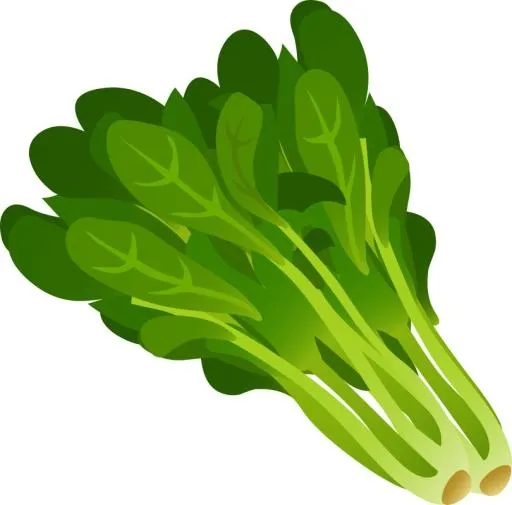 菠菜免抠(810x800)