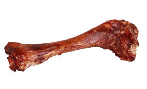 骨头 PNG免抠(585x355)