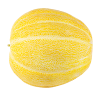 65_melon_PNG14363