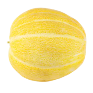 65_melon_PNG14363