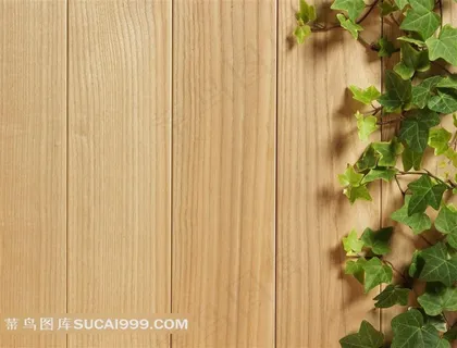 树叶木纹清新背景 树叶木纹清新背景