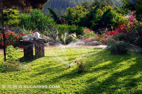 高清绿色森林图片