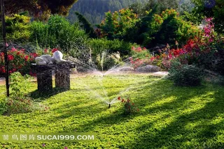 高清绿色森林图片