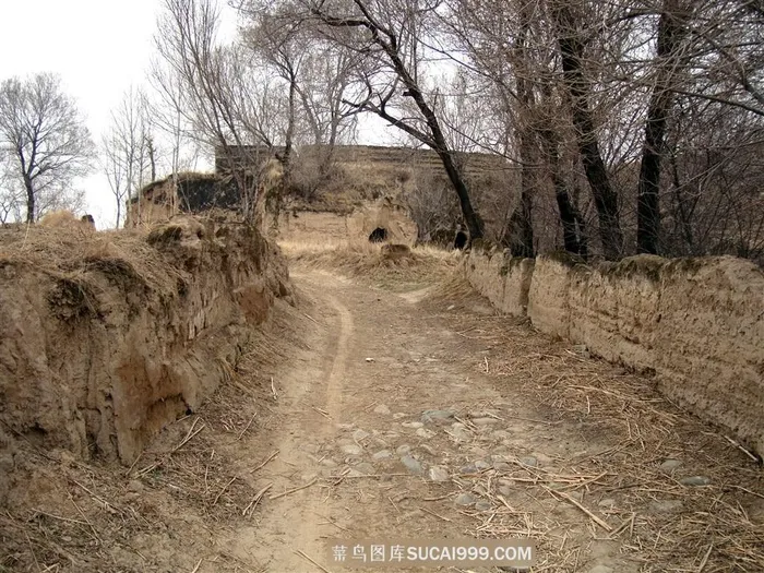 曾经村里的主路