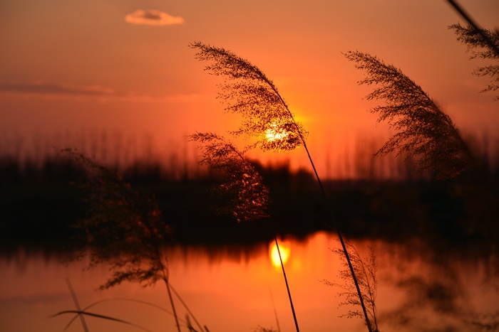 浪漫夕阳摄影