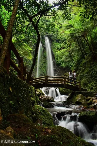 森林公园瀑布小木桥树林图片