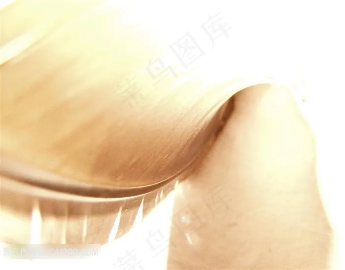 漂亮羽毛素材