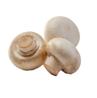白蘑菇 (2)超市商品白底图免抠实物摄影png格式图片透明底