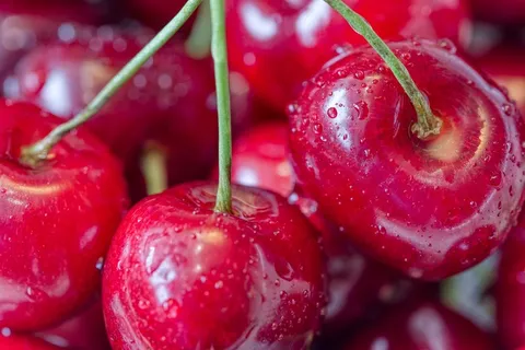 大颗红樱桃图片