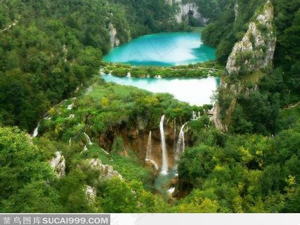 丛林中清澈的溪水