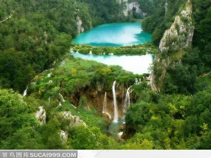 丛林中清澈的溪水