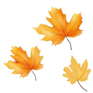 黄色的叶子免抠