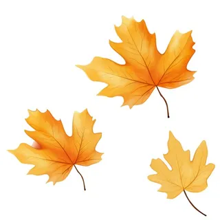 黄色的叶子免抠