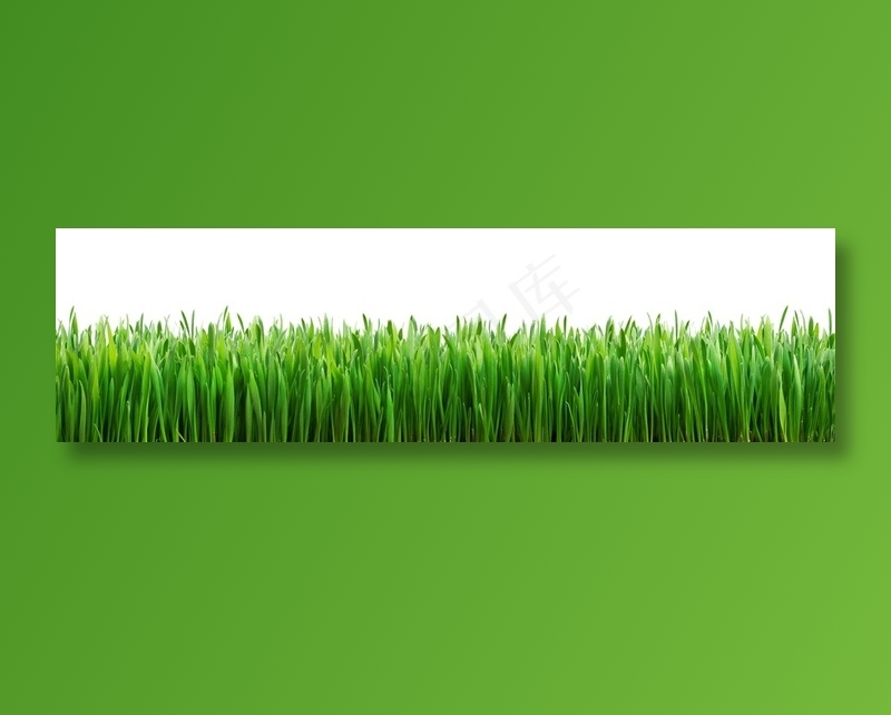 鲜嫩的草地景色高清素材