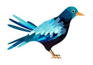 卡通手绘鸟插画