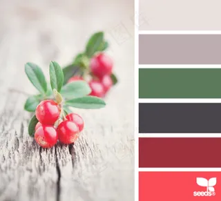 冬天系配色色卡色彩搭配