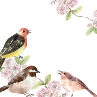 插画春鸟免抠素材